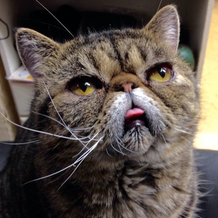 F1f2ff57 32cc 4175 b290 70fee3e2c4d3