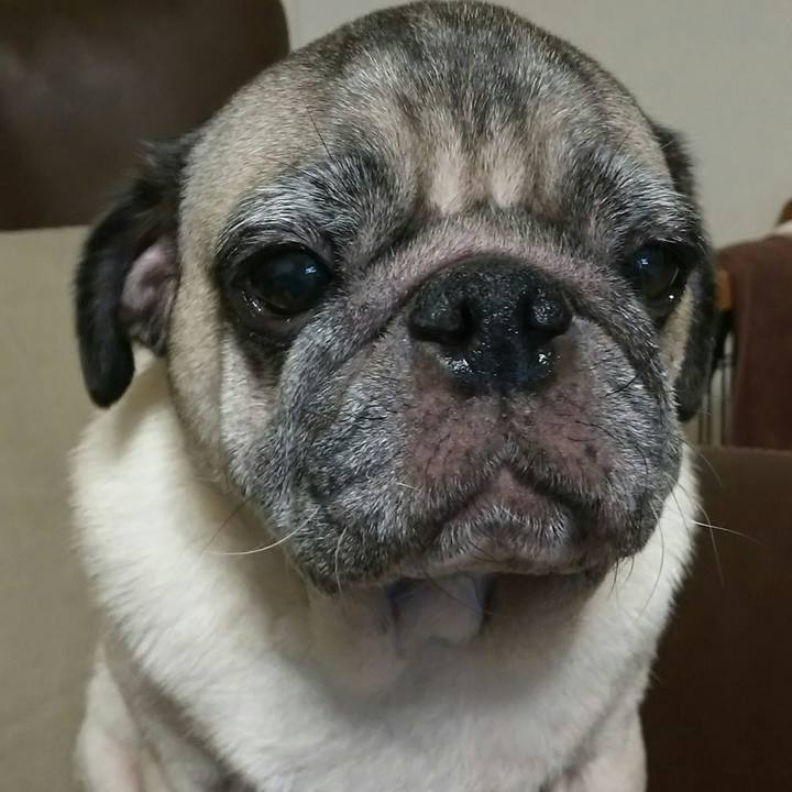 F1f3975e f2b4 48b3 b9b6 28eb47bdc219