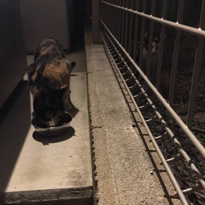 F1f402a7 126c 4722 9fc7 f8de913b2dc1