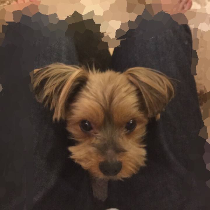 F1f4828f 60bc 4482 ad9c c0959d1bb0c4