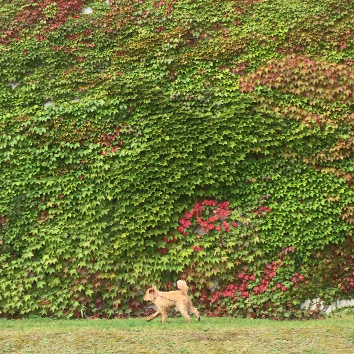 F1f4b4ef 2bf7 4cd7 8f48 b16ecfca3fa3