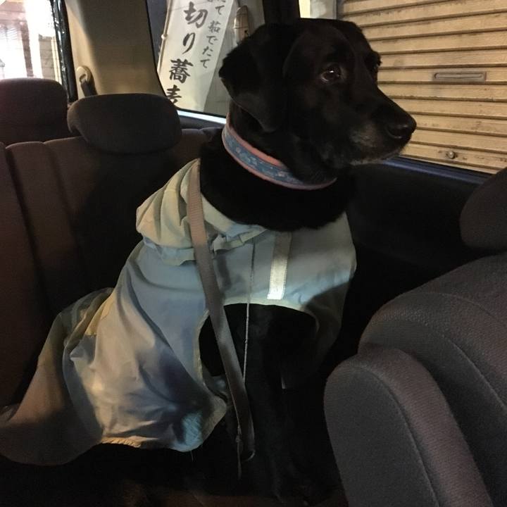 F1f55bec eb90 46c8 b2be 53b00dc10f4a