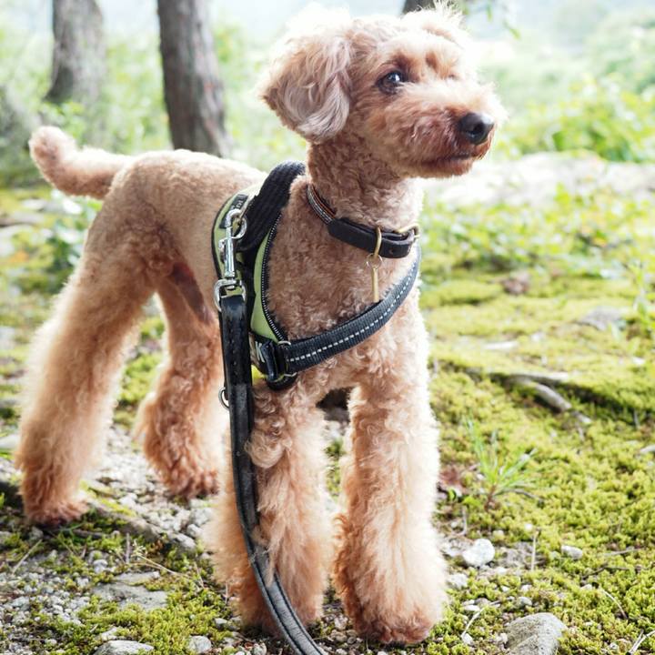 F1f58370 8346 45c1 b5e2 969d3585dbf2