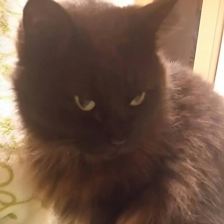 F1f5969f c154 4c9c aa99 7877e2c51723