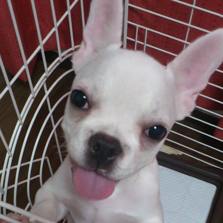 F1f64e65 7d0f 49e4 b047 6607cee11381