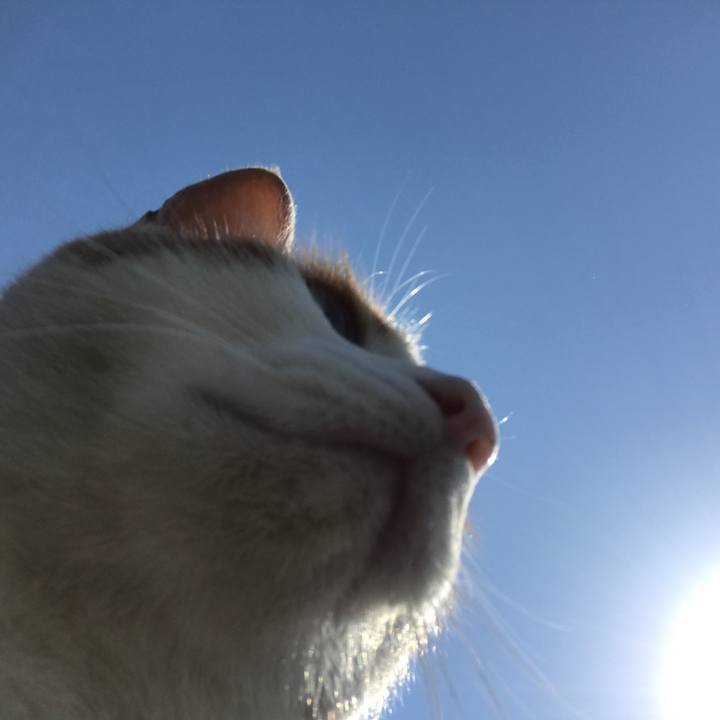 F1f66edd cce2 400b ba9a 0eecf77932ea