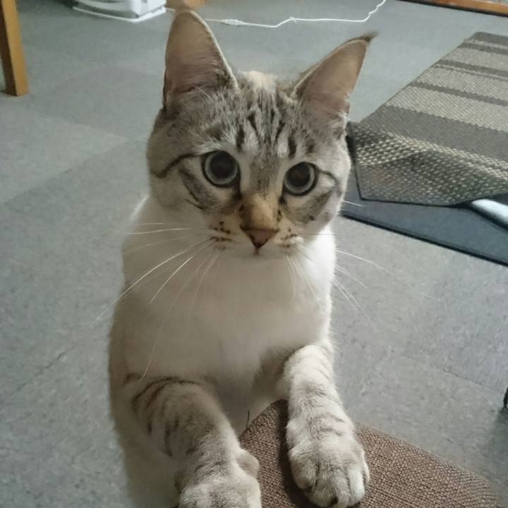 F1f67766 150b 4b65 86b3 ffacaafc8db7