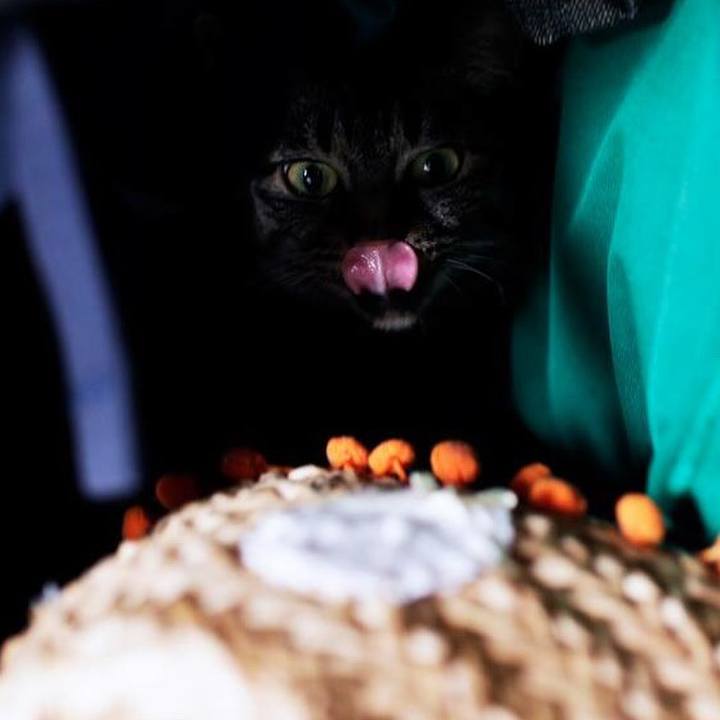 F1f70bbc 606e 4651 a5bb 275c47759ae4