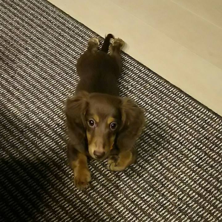 F1f7bfdb defd 4bee bac4 0d9256ae11f2