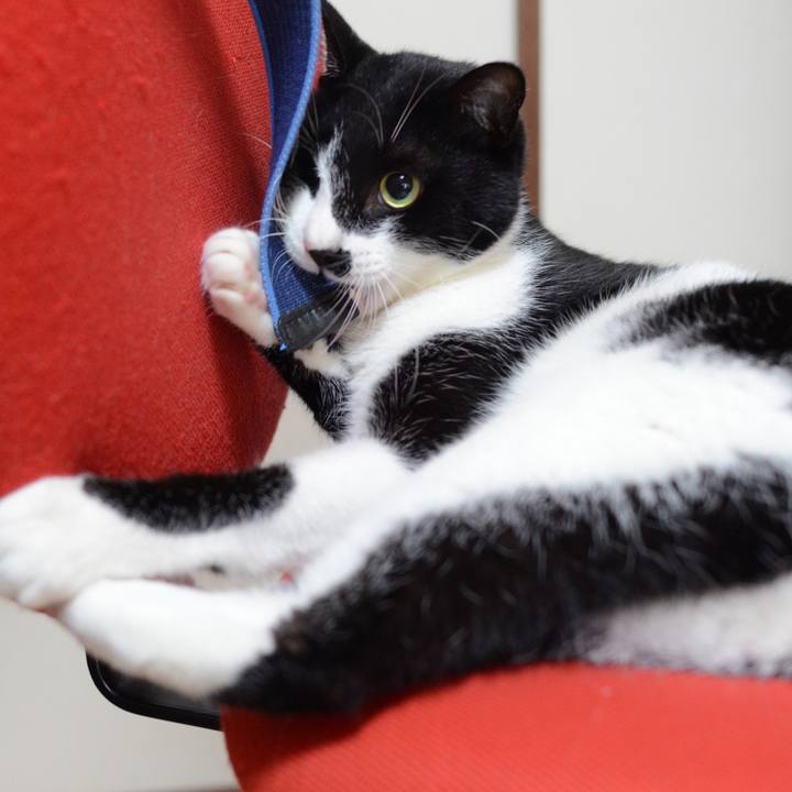 F1f7ddd9 92d1 45f0 be74 a705c2ae639c