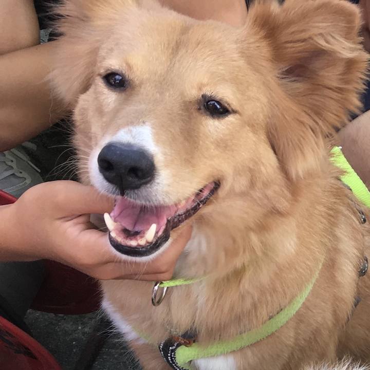 F1f8426f 8b43 4912 ac2d 0c3c76319d5d