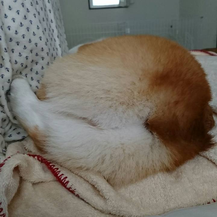 F1f87b6d 83a3 488d afb0 8e26128476fa