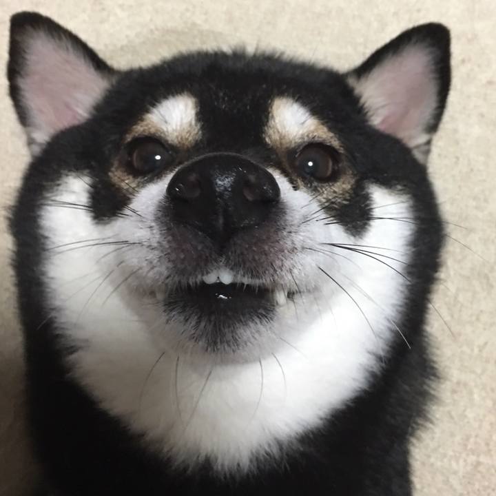 F1f942c8 4219 4fd2 8d85 2a8434fc42d5