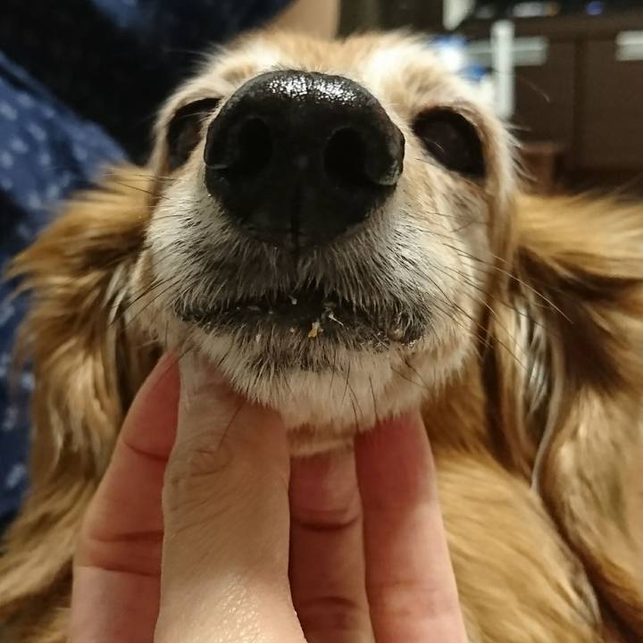 F1fa1813 9eea 401f b968 ca0aa75873f1