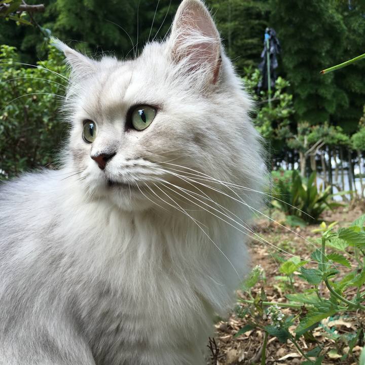 F1fa226c f12f 4dc4 8ffb a1349c1f6224