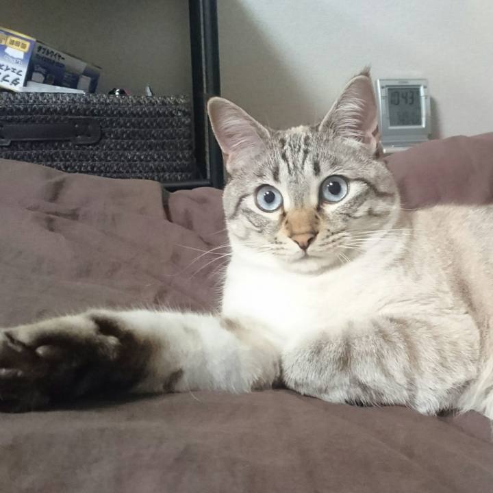 F1fa276d 5b4e 4b5b 966e 519c98239eb5