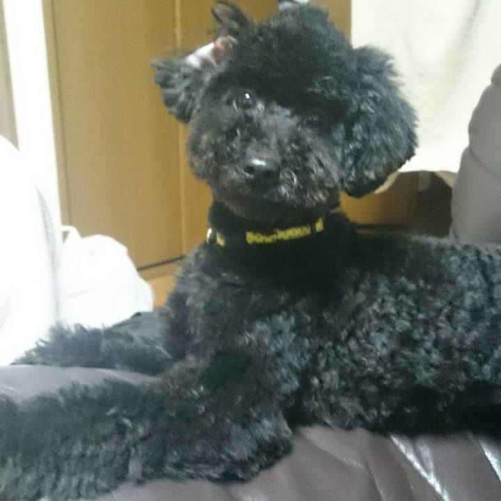 F1fa36a3 51ed 4125 9e6f a3f17e75bf41