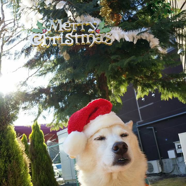 F1fae36a 8e1f 4c9b a7ca 358b31ae94db