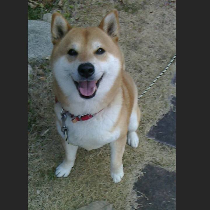 F1fafdce d0e8 4b84 a3c3 ffd5564dd940