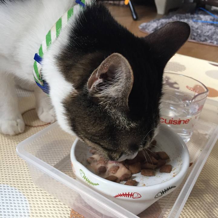 F1fb2990 ae35 4e4a ba5b ed252ef43e20