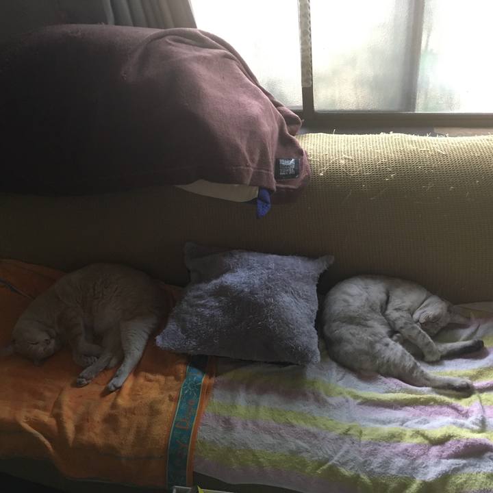 F1fb29d0 b952 4747 85db d8f7e4dc9754