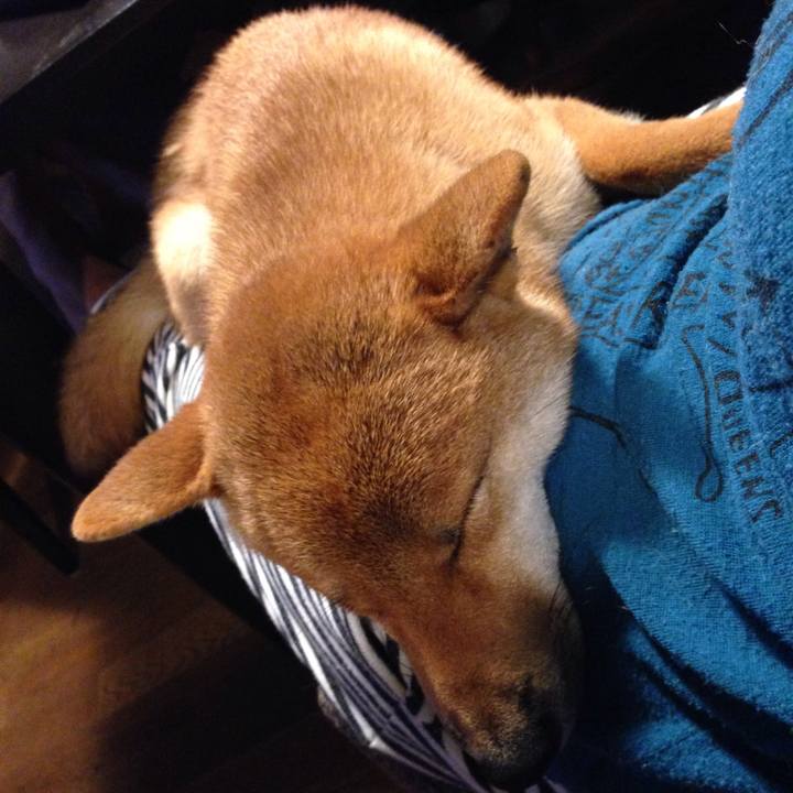 F1fb3805 37f6 4223 af90 17907d31f588