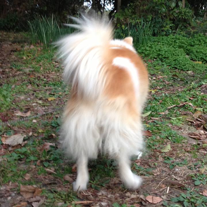 F1fc770d ebe4 46a2 b91f ba996c081e17