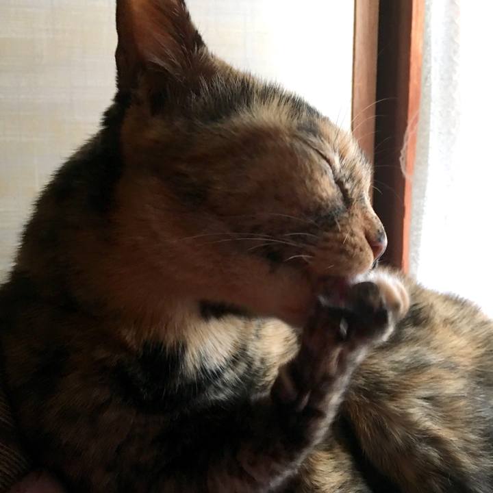 F1fd0512 52bc 4a88 8b51 74599a92d2e3