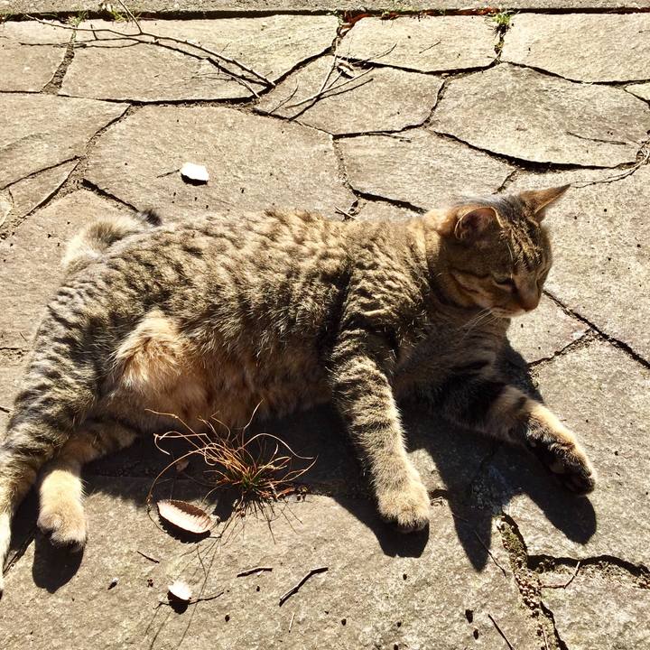 F1fd1422 a3ea 4f33 8af5 cdf83b20ad2c