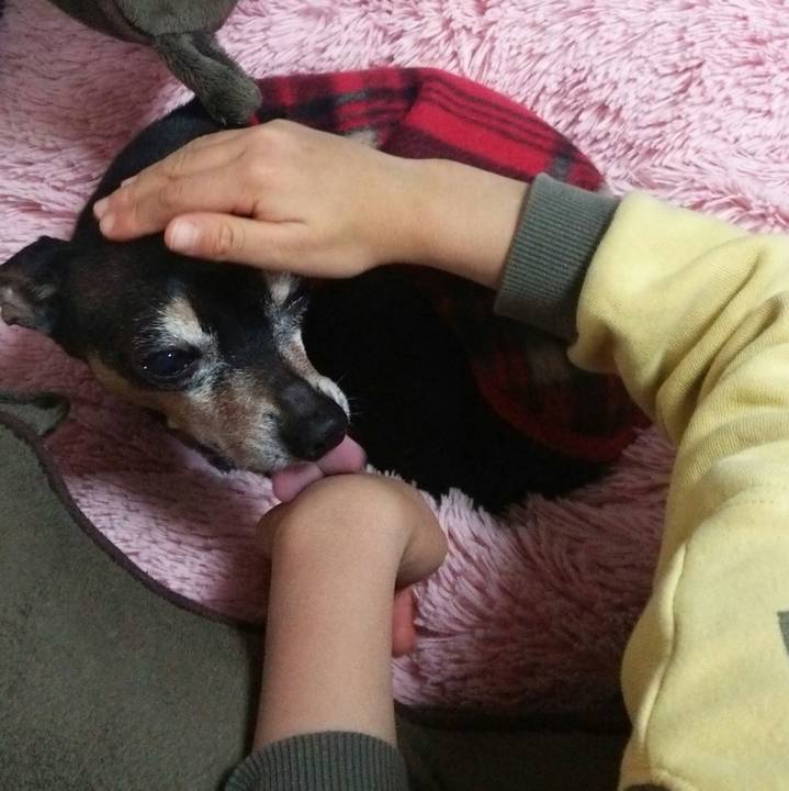 F1fd5c28 1241 4f25 ad22 42741574ba9f