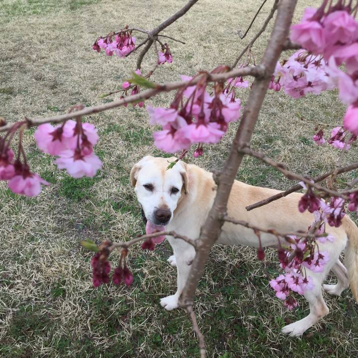 F1fe47a8 60ec 429d 8089 78afe5ad01cb