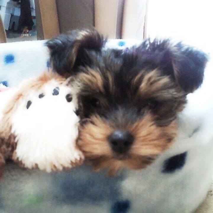 F1fe8585 403b 45ce 85ca df9e8da41f9c