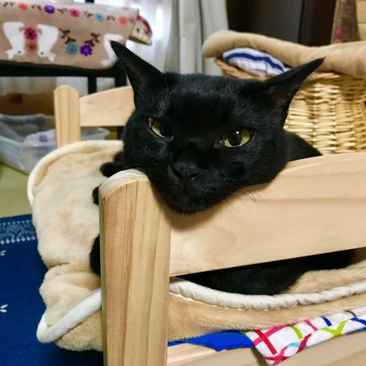 F1fe8ba9 1063 4fc5 b600 04dd9fa4ce41