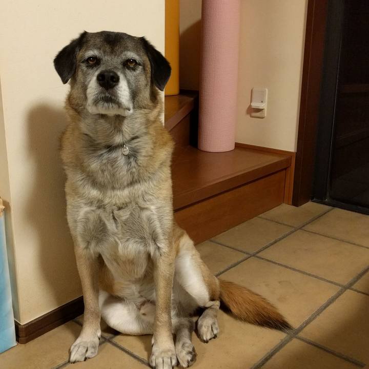 F1ff05cf c7be 42a6 960d 7c330721da33