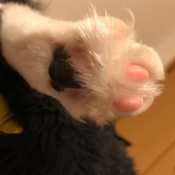 F1ff3771 fb74 4c60 a472 66efc70163f2