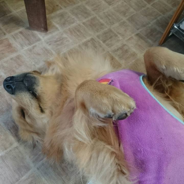 F1ff5be9 3a7d 4a1a 9b9c 5999ae6ff54f