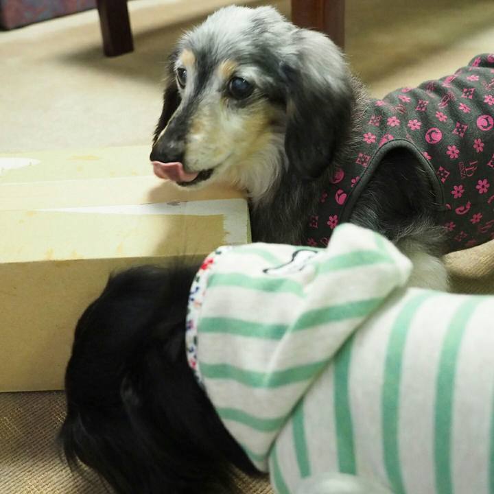 F1ffda61 3cd5 4d9b a629 3b506f8044fc