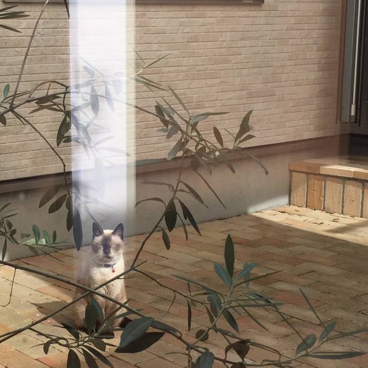 F1fffd85 3e60 4bd8 b63a 867a988a7cc0