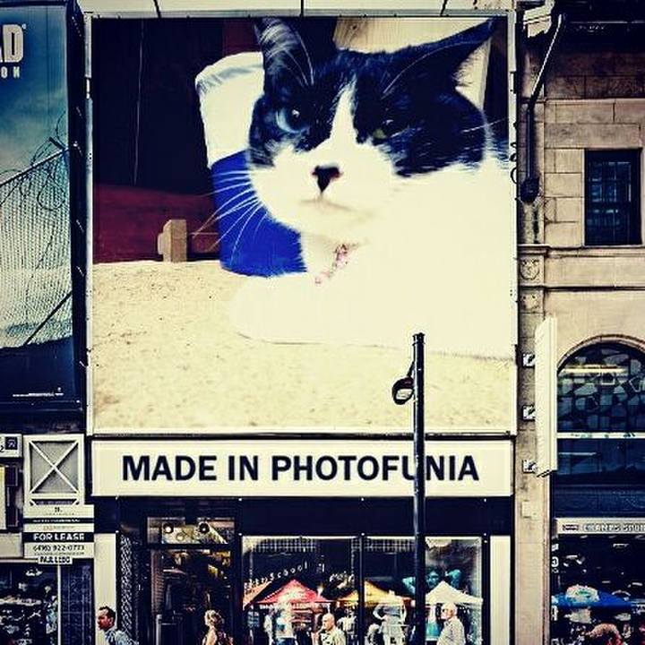 F20058d9 1650 4451 a24f bb8c624cde71