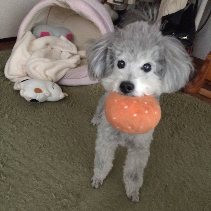 F2006862 95f2 4876 ae1e 87091e512bda