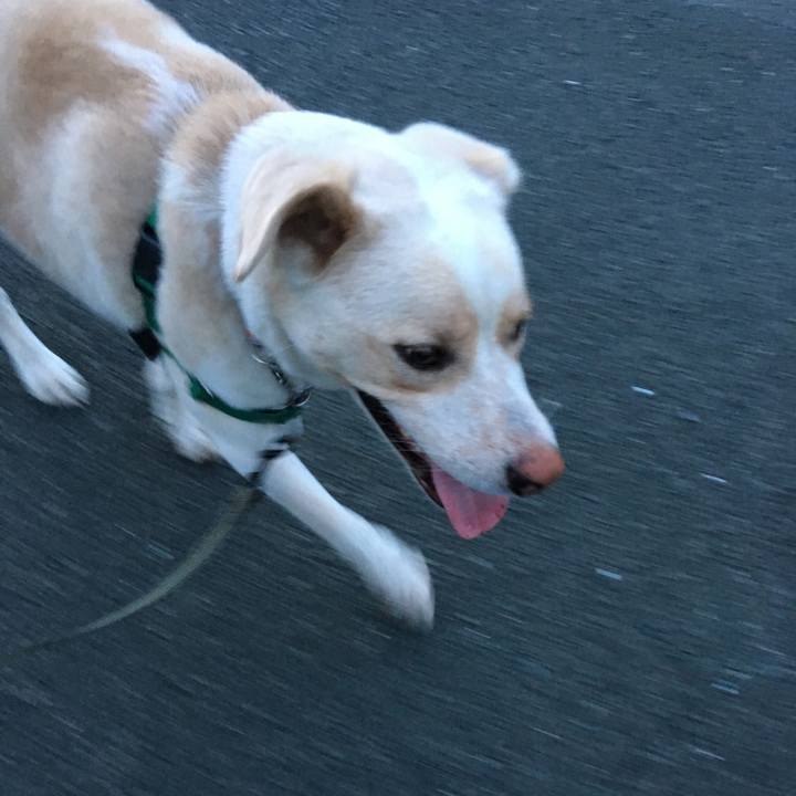 F20083fe c51a 4d68 ac04 5215d0ed1c6f