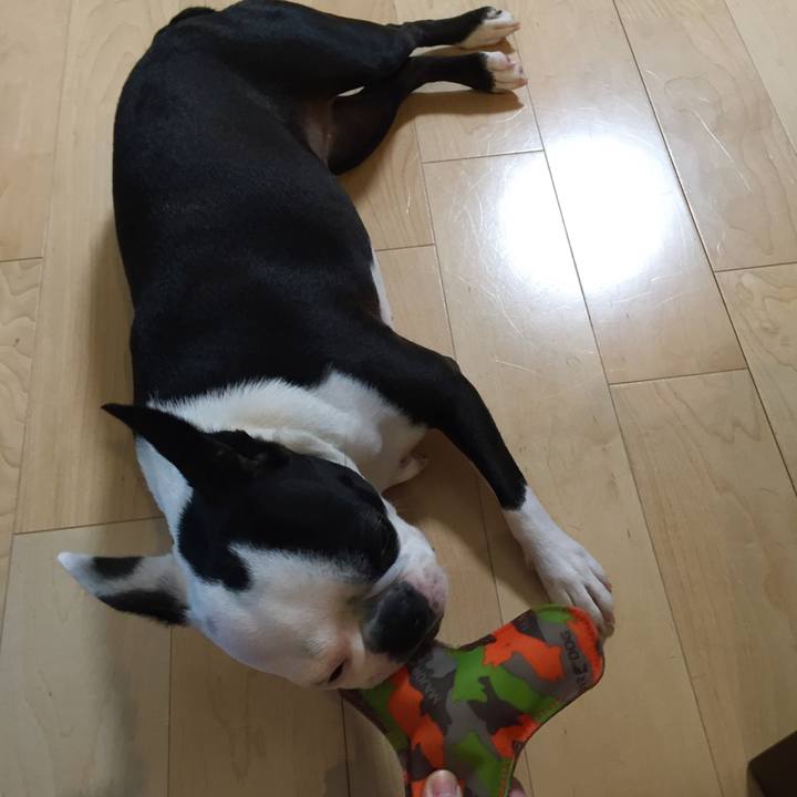 F2010df0 bf42 4971 b64c f662ac7537c5