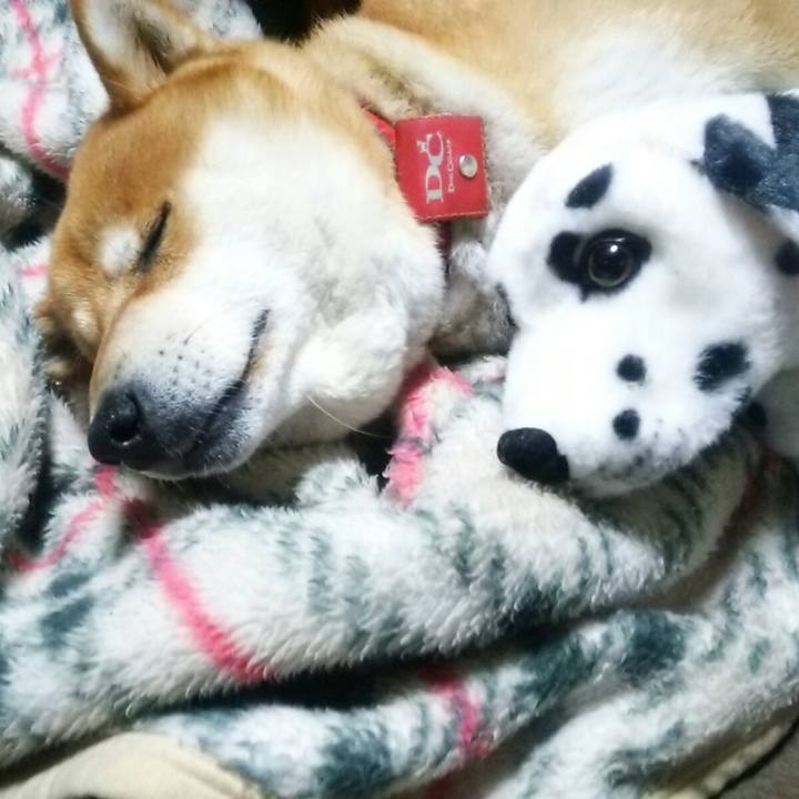 F201a09d facc 45ce a21a 53a9490dadb8