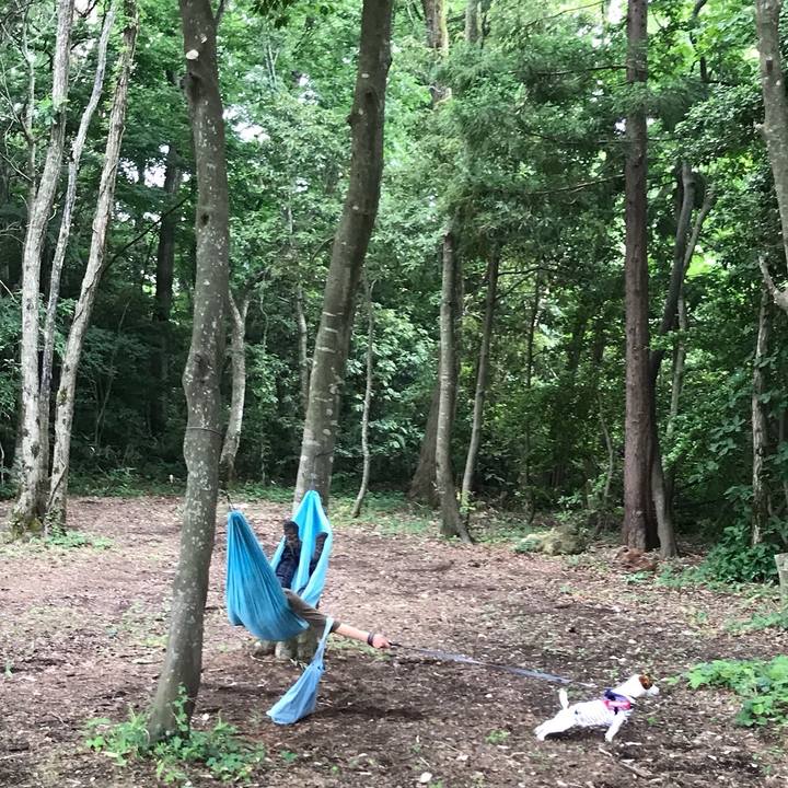 F20237c6 dca6 4193 9595 90ad1fcb5912