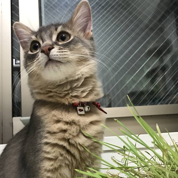 F202e3d0 661c 4129 8e6f a4393583d804