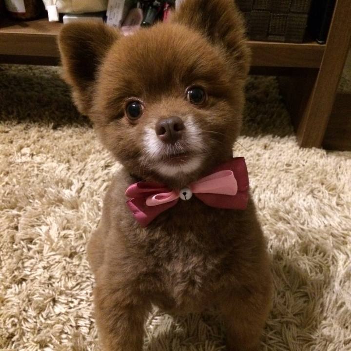 F203393d 5d53 4941 b073 1d3f87eb7f8a