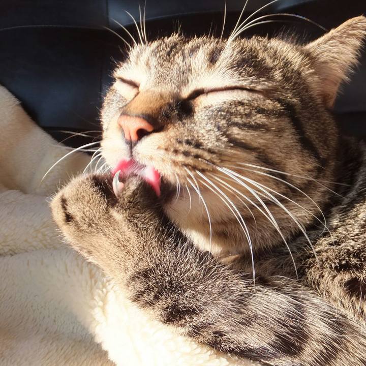 F203f631 1d7f 4d3c 8664 9a9e07992736