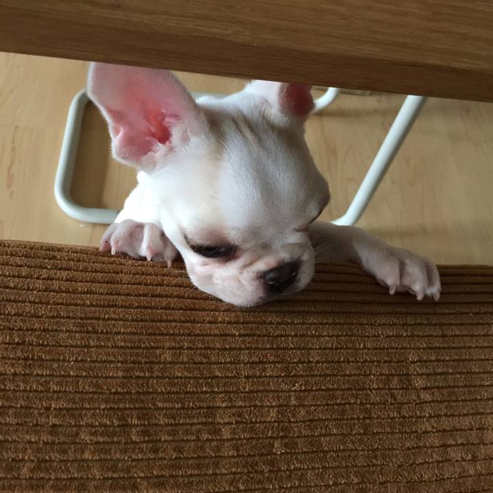 F204b102 f731 499a 9cde 2ddfa0c587ce