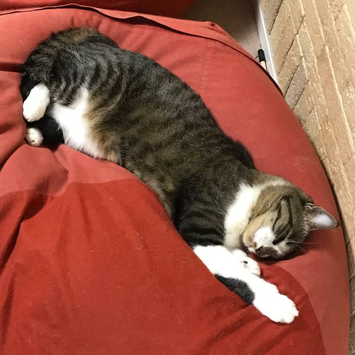 F204f6ac 5729 4f5e ad95 5e9912d74a3c