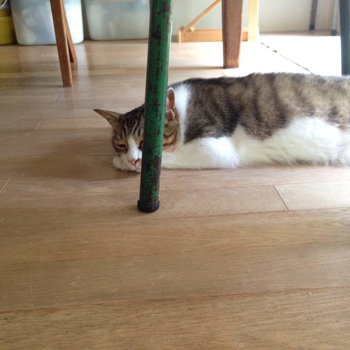 F2056b1f 319c 4b63 9bf7 ef62feeab309